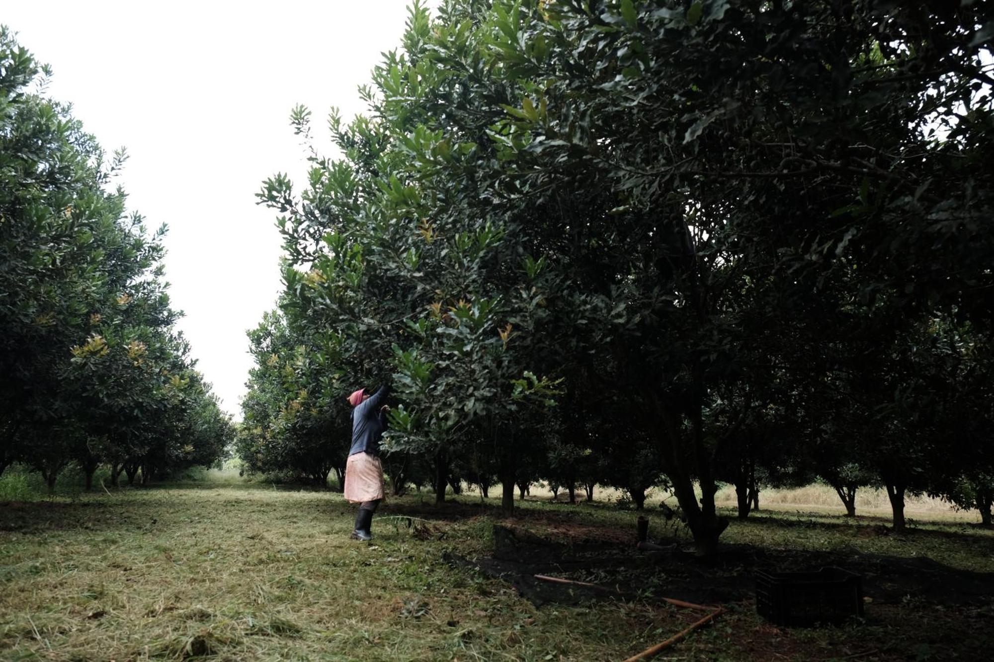 Mabuda Guest Farm Siteki 外观 照片