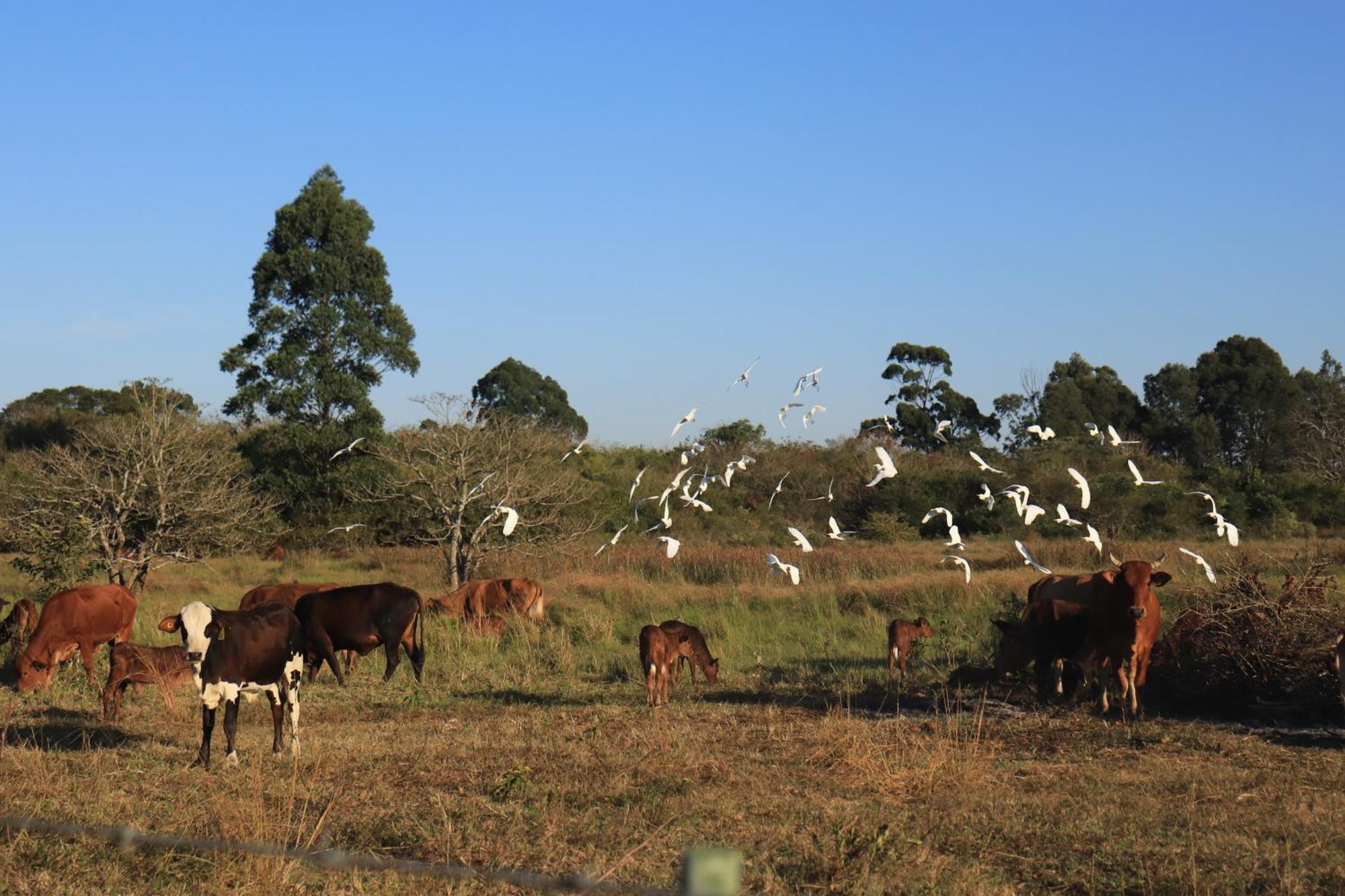 Mabuda Guest Farm Siteki 外观 照片
