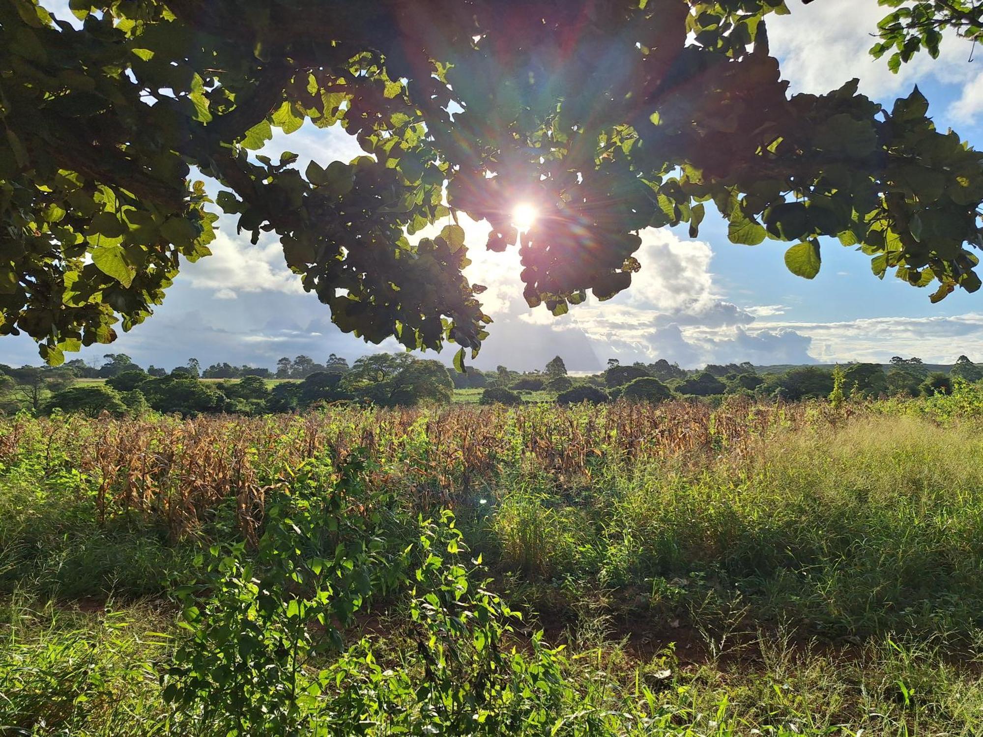 Mabuda Guest Farm Siteki 外观 照片