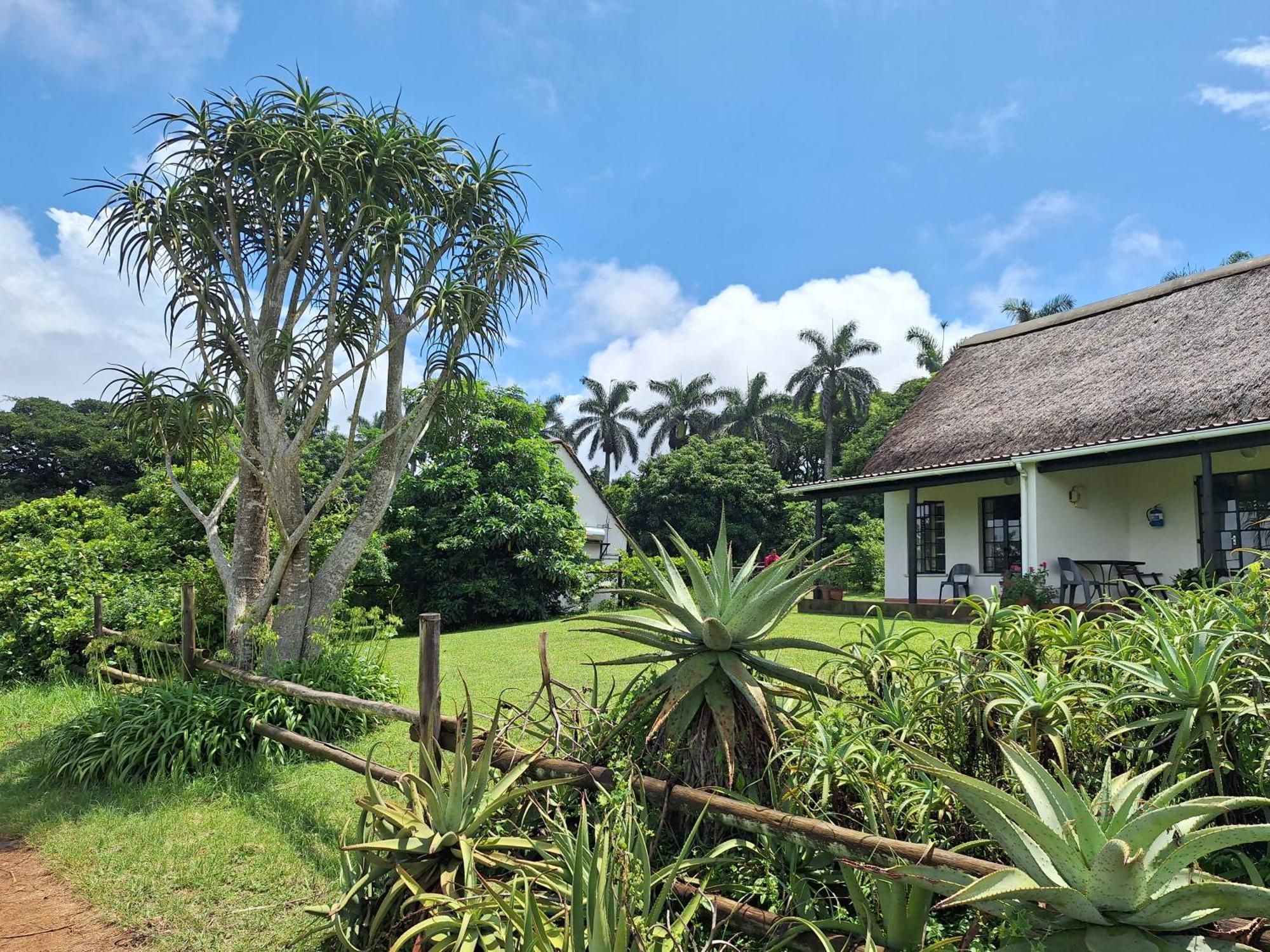 Mabuda Guest Farm Siteki 外观 照片